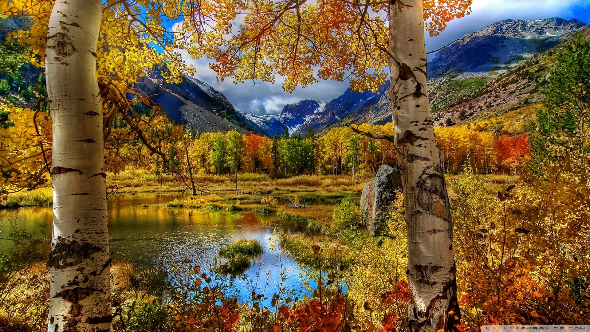 perfect_autumn_scenery-wallpaper-1920×1080